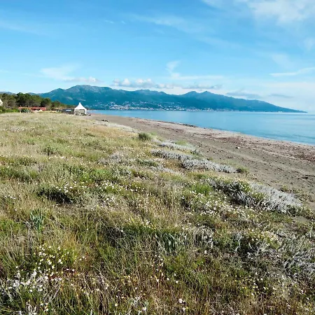 Les Chenes By Interhome Vakantiehuis Borgo (Corsica)