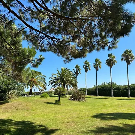 Les Chenes By Interhome Vakantiehuis Borgo (Corsica)